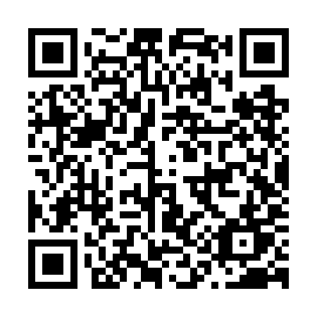 QR code for plate N16-WIT
