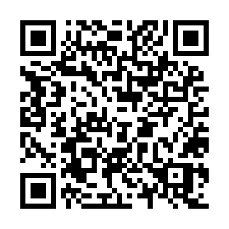 QR code for N17-YLR