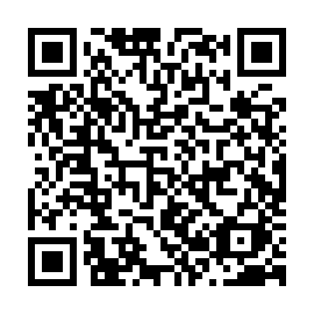QR code for N20-IZI