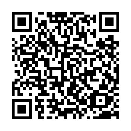 QR code for plate N20-GAZ