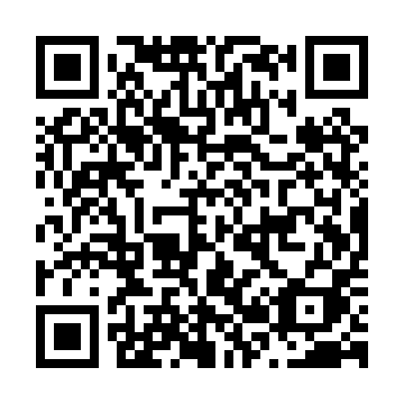 QR code for N21-PPI