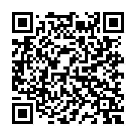 QR code for plate N28-OLP