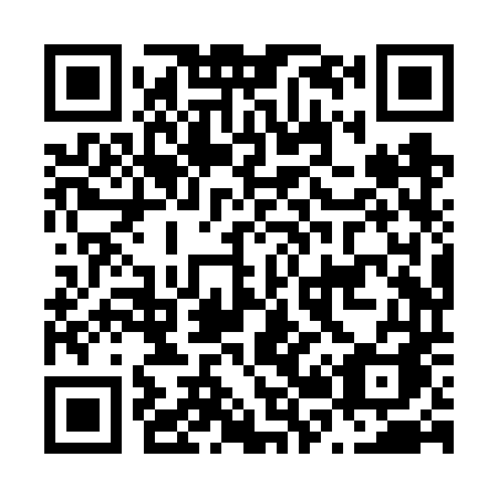 QR code for plate N28-VTA