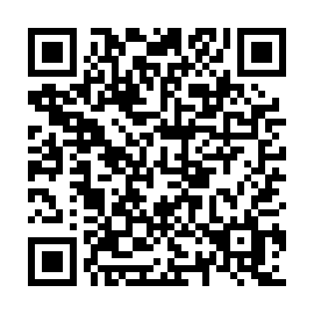 QR code for N29-PAL
