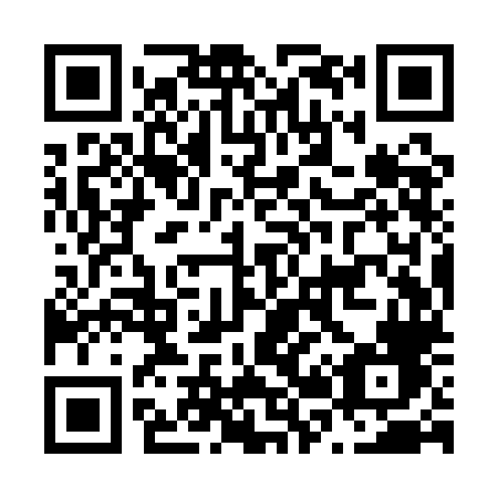 QR code for N29-QLF