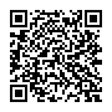QR code for N29-UPC