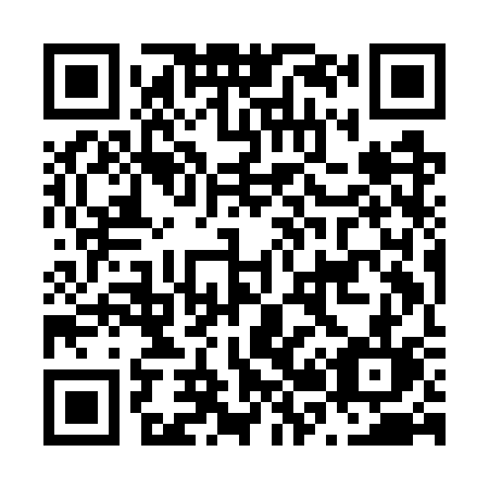 QR code for plate N29-GSL