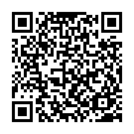 QR code for plate N29-JYW