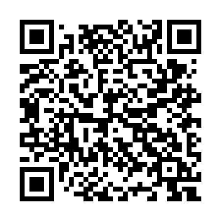 QR code for N30-FIC