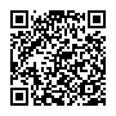 QR code for plate N30-MAU