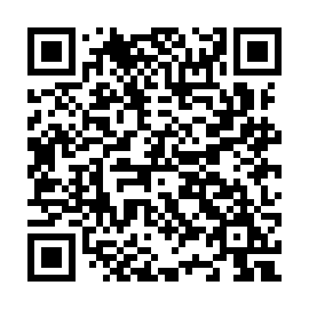 QR code for N31-IJM