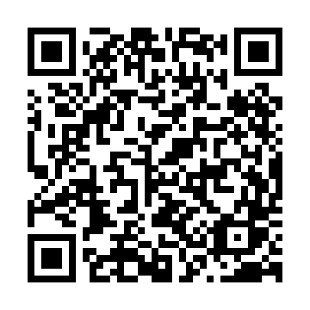 QR code for N31-PDS