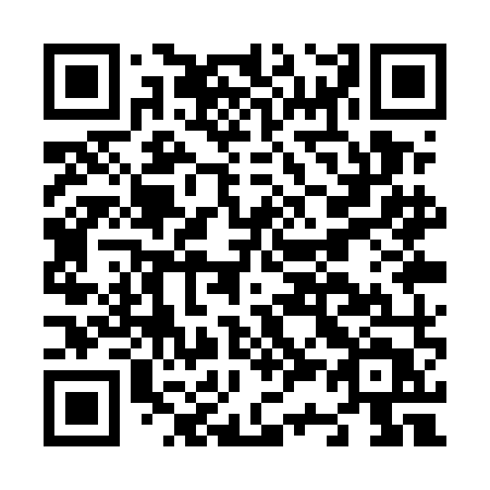 QR code for plate N31-UMT