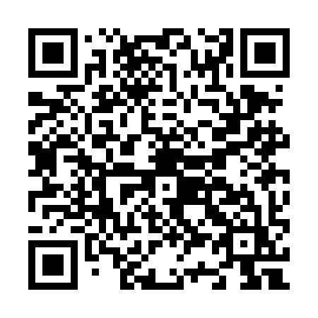 QR code for N33-DIZ