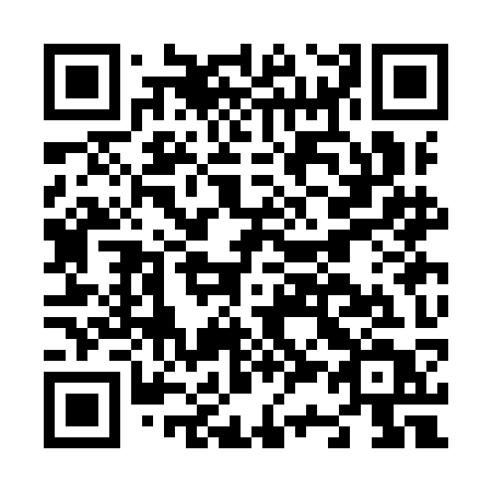 QR code for N33-IKT