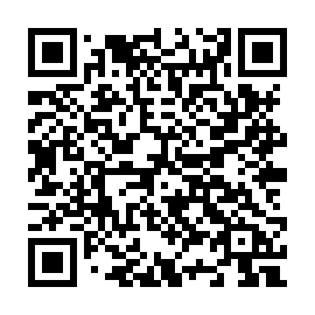 QR code for N38-XRB