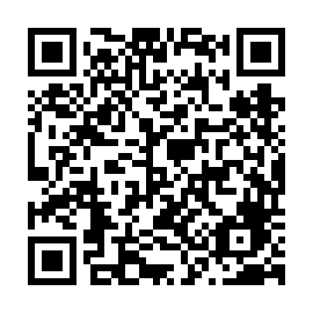 QR code for plate N38-VDF