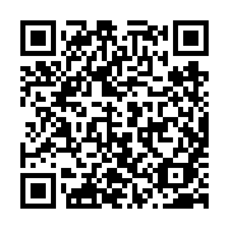 QR code for plate N40-VXI