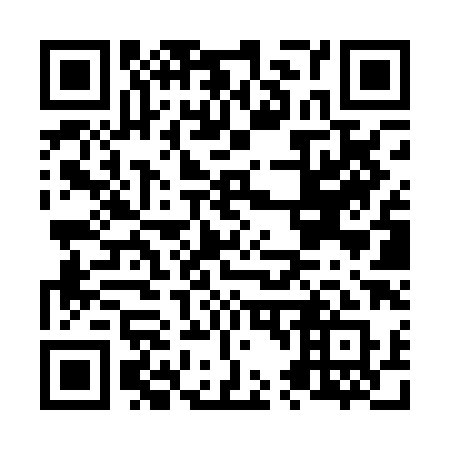 QR code for N42PHQ