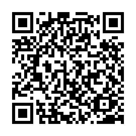QR code for N46-HBP