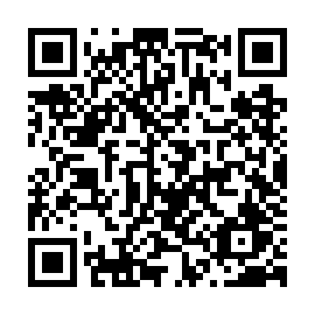 QR code for N46-WJV