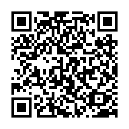 QR code for N46RSY