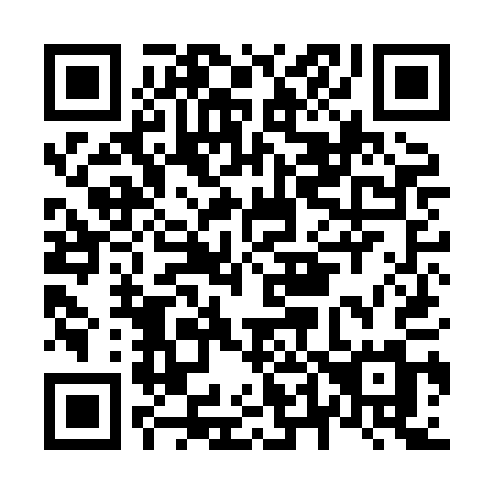 QR code for plate N49-HAM