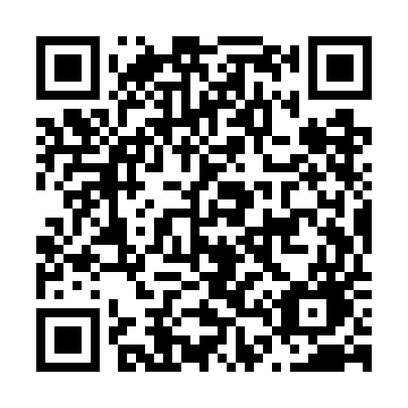 QR code for plate N49-WEG