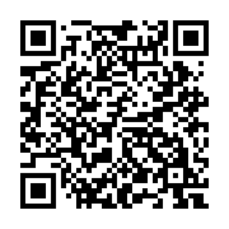QR code for N53-BAO