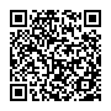 QR code for plate N53-QLH