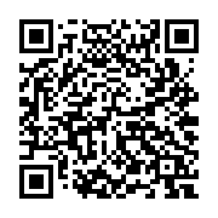 QR code for N54-SPR