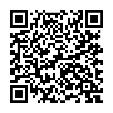 QR code for N55-HIC