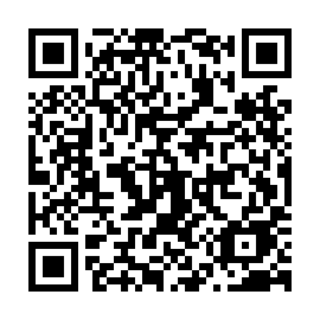 QR code for N55LIE