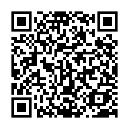 QR code for plate N56-QOI