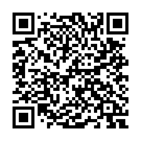 QR code for plate N60-DPA