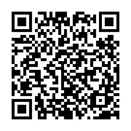 QR code for N61-DNS