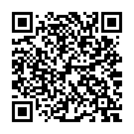 QR code for N66-VQE