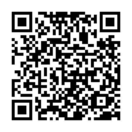 QR code for N80-NEX