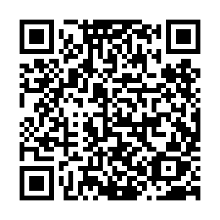 QR code for plate N80-DIZ