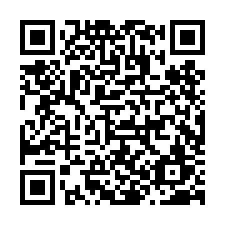 QR code for plate N80-DKV