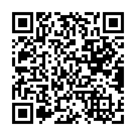 QR code for plate N85-SMX