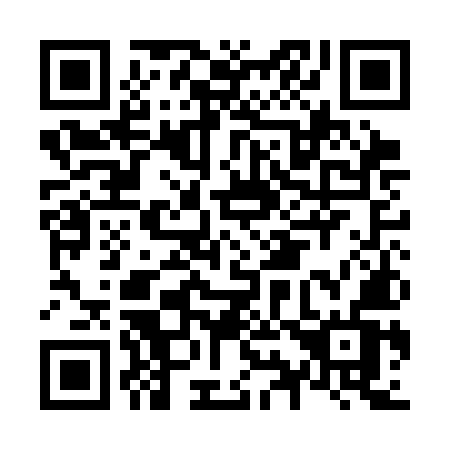 QR code for N91-CMV