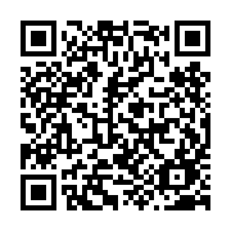 QR code for N91-DID