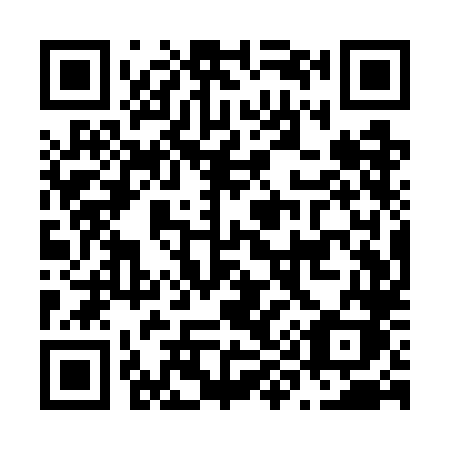 QR code for N91-WLK