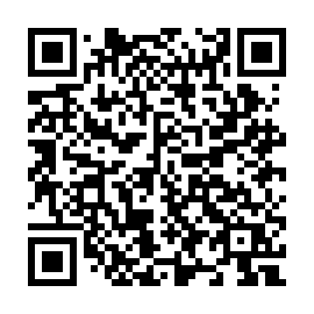 QR code for N91BER