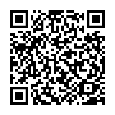 QR code for plate N91-NUX
