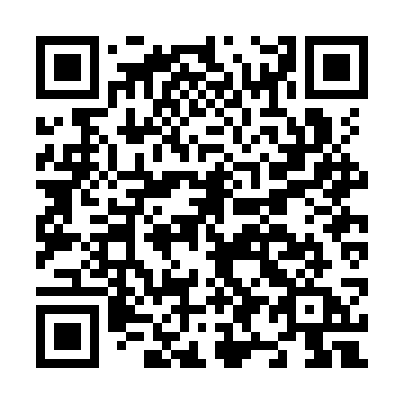 QR code for plate N92-KSA
