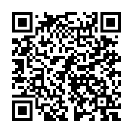 QR code for N93DAU