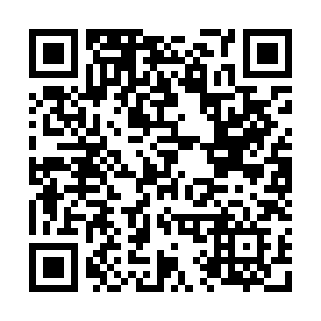 QR code for plate N93-LHF