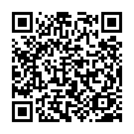QR code for N95-UGP